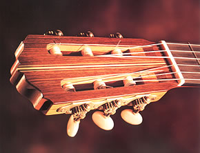 This Instrument is made from beautiful Brazilian Rosewood